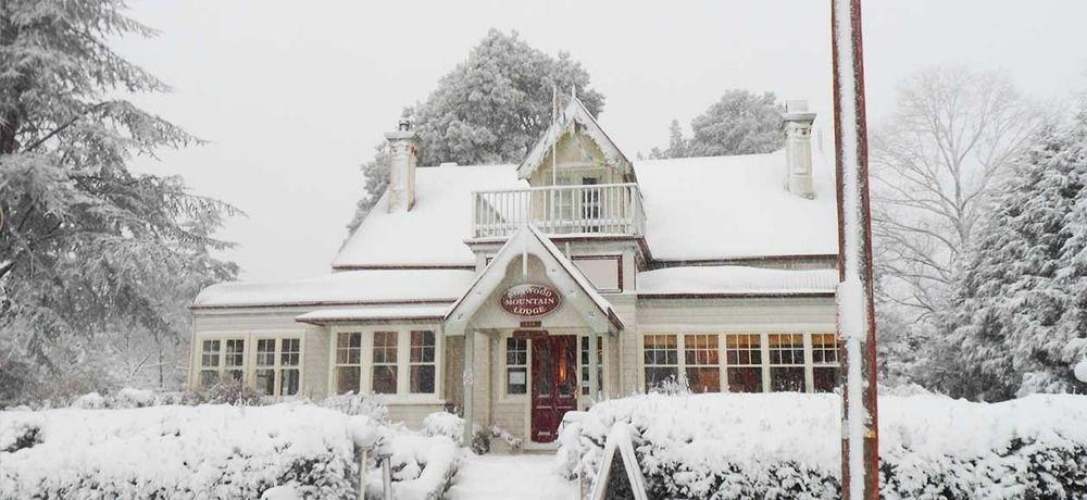 Norwood Mountain Lodge 블랙히스 외부 사진